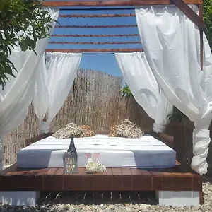 https://finca-rayo-del-sol.es-andalucia.com
